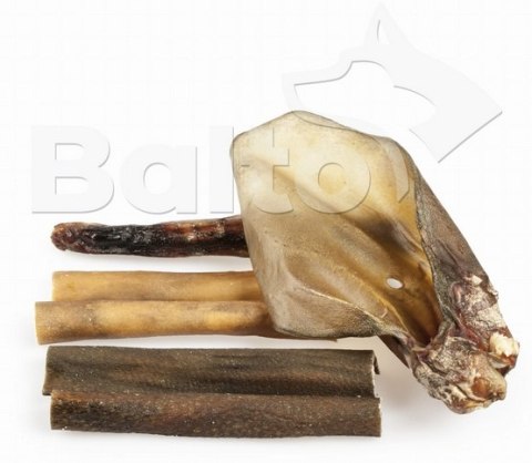 Balto Zestaw gryzaków na długie żucie 6szt– Twarde Gryzaki dla Małych i Średnich Psów