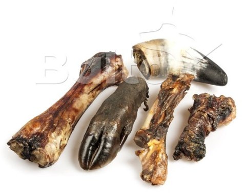 Balto Zestaw gryzaków twardziela 7szt– Gryzaki dla Psów o Mocnych Szczękach (Prawie 2 kg)