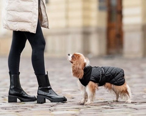 Chaba Kubrak Regulowany Chic 4XL czarna