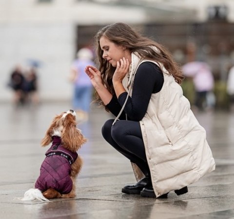 Chaba Kubrak Regulowany Chic 4XL burgund