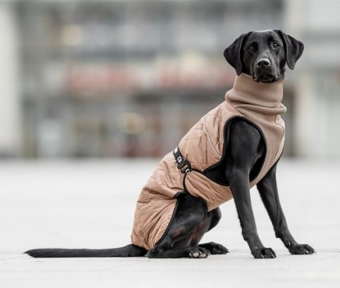 Chaba Kubrak Regulowany Chic L beż