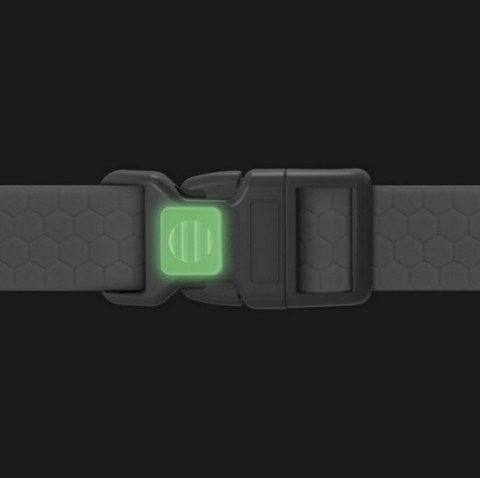 Collar Obroża wodoodporna z QR-paszportem, plastikowy fastex, L 25mm/33-49cm jasnozielona