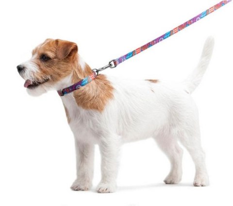 Collar WauDog Nylon Obroża nylonowa z QR-paszportem, plastikowy fastex, wzór LATO, 15mm/25-35cm