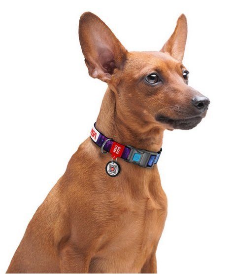 Collar WauDog Nylon Obroża nylonowa z QR-paszportem, plastikowy fastex, wzór NASA, 15mm/25-35cm