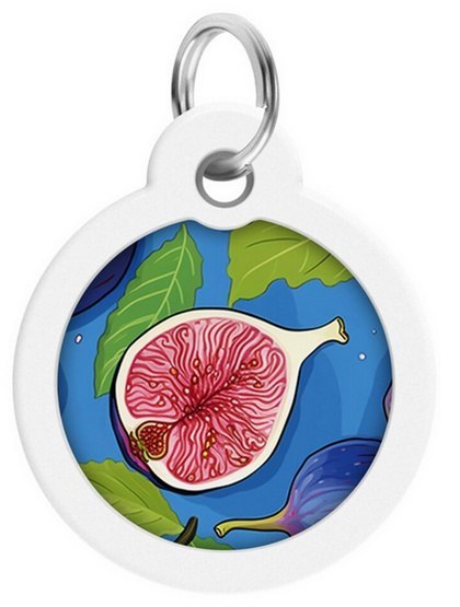 Collar WauDog Smart ID Zawieszka z QR-paszportem okrągła 3cm figa