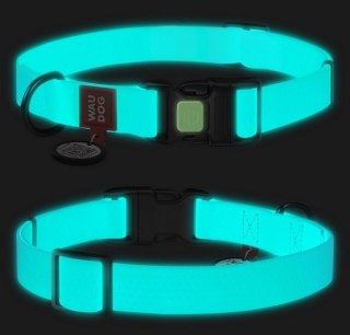 Collar WauDog Obroża wodoodporna z QR-paszportem, akumulująca światło, plastikowy fastex, 15mm/25-35cm
