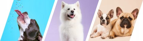 2Dog Mini Kiełbaski ZAJĄC 1 Kg