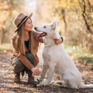 2Dog mokra karma konina z siemieniem 400g