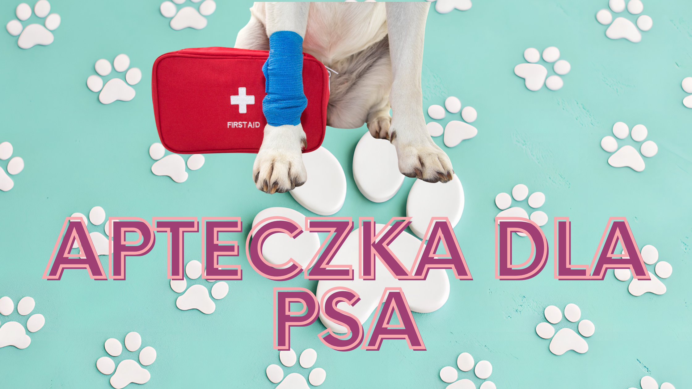 Apteczka dla psa