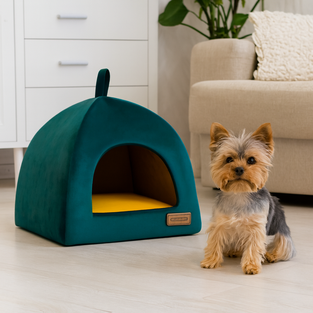 Jak wybrać idealne legowisko dla psa? Praktyczny przewodnik dla opiekunów