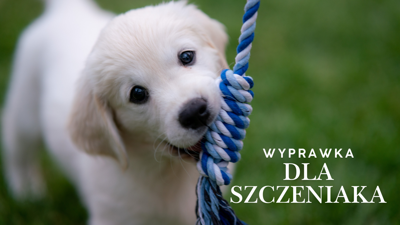Wyprawka dla szczeniaka